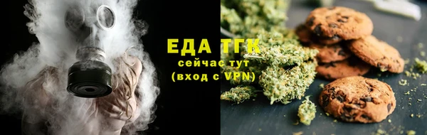 индика Протвино