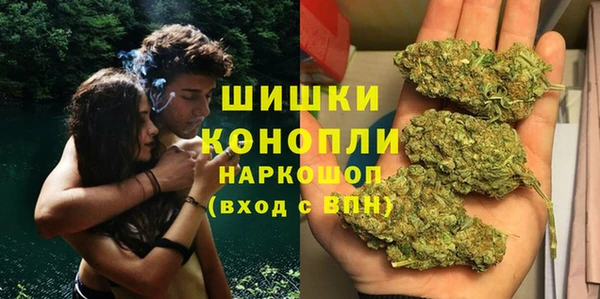 дурь Арсеньев