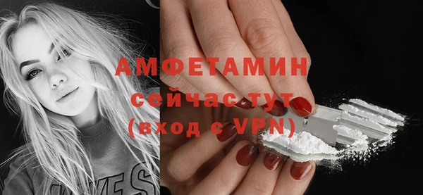 индика Протвино